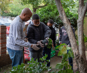 Volunteers